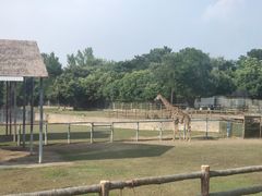 -西安秦岭野生动物园