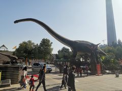 -陕西自然博物馆