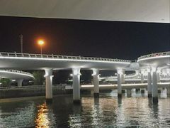 -演武大桥观景平台