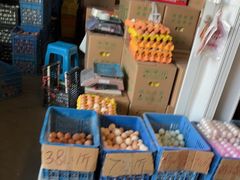 -上海龙吴水胜海发市场