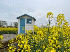 -中国天府农业博览园