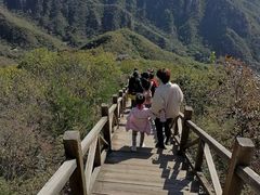 -大岭沟猕猴桃谷风景区