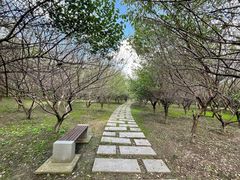 -南湖湿地公园
