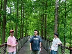 -黄海国家森林公园