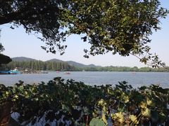 景观位-郭庄茶室