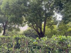 -安徽省地质博物馆