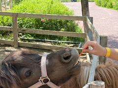 -水上乐园·欢乐世界