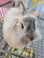 -Moni星球萌宠·小马宝莉·灵蛇·高端高阶全萌宠互动体验俱乐部(红豆国际广场店)