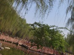 -丰台科技园生态主题公园