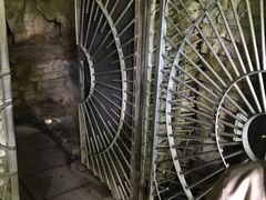 -怀托摩萤火虫洞