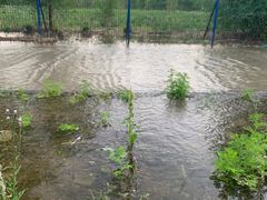 -永定河休闲森林公园