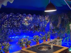 -大院河·仙鱼莊(九眼桥店)