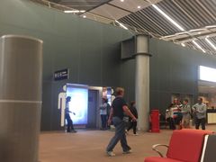 -西沃古尔·拉姆古兰爵士国际机场