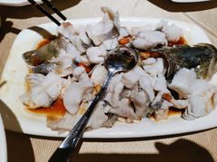 -张记旺角食街(动物园店)