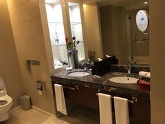 -天鹅湖大酒店
