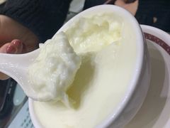 -义顺牛奶公司(新马路老店)