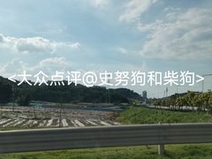 -广州市帽峰山景区