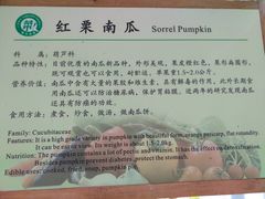-上海都市菜园