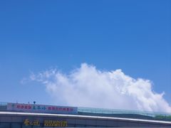 -王莽岭风景区