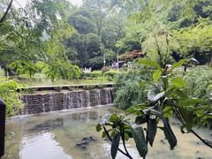 -黔灵山公园