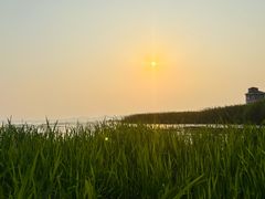 -东山风景区(洞庭东山)