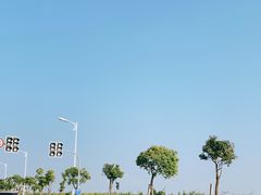 -南汇嘴观海公园