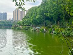 -重庆彩云湖湿地公园