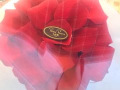 -PETIT PARIS 小巴黎(凯德1818店)