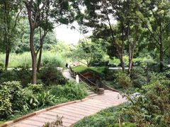 -成都市活水公园