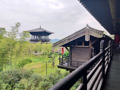 -大唐贡茶院