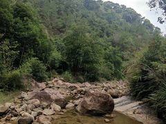 -广州白江湖森林公园