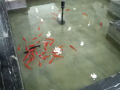 大堂-赤峰宴宾楼(满洲里路店)