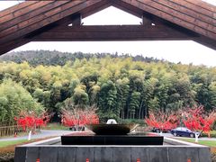 -苏州环秀晓筑养生度假村