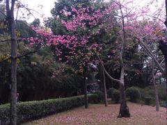 -晓港公园