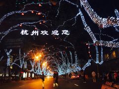 -杭州西湖柳莺里酒店