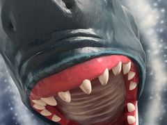 -海合安成都极地海洋公园