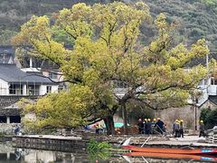 -东钱湖旅游度假区