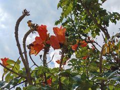 -中国科学院西双版纳热带植物园