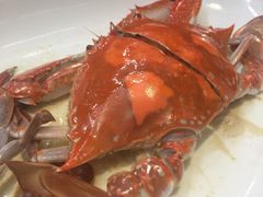 -森谷美食公园(杨行店)