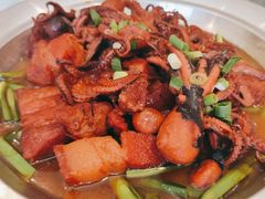 活八爪鱼炖红烧肉-赶海部落海鲜城(海阳路店)