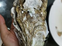 -蚝专家(北滘店)