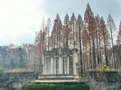 -音乐台