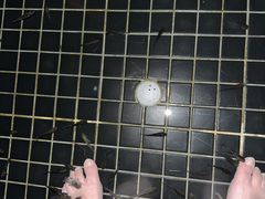 -七彩云南古滇温泉山庄