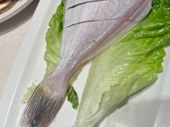 -周师兄大刀腰片火锅(洪崖洞旗舰店)