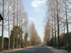 -余氏豆腐包老店(东直街店)