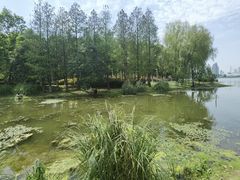 -月湖风景区