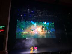 -澜沧江湄公河之夜歌舞篝火晚会