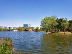 -大兴滨河森林公园