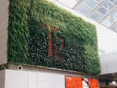 -广州白云国际机场-T2航站楼