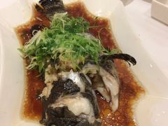 美心皇宫(沙田大会堂)-美心皇宫(沙田大会堂店)